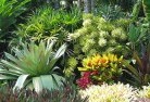 Clifdensustainable-landscaping-3.jpg; ?>